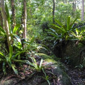 尾之間自然散策路