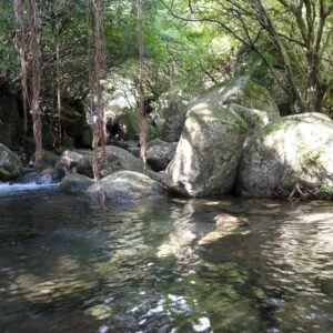 尾之間自然散策路