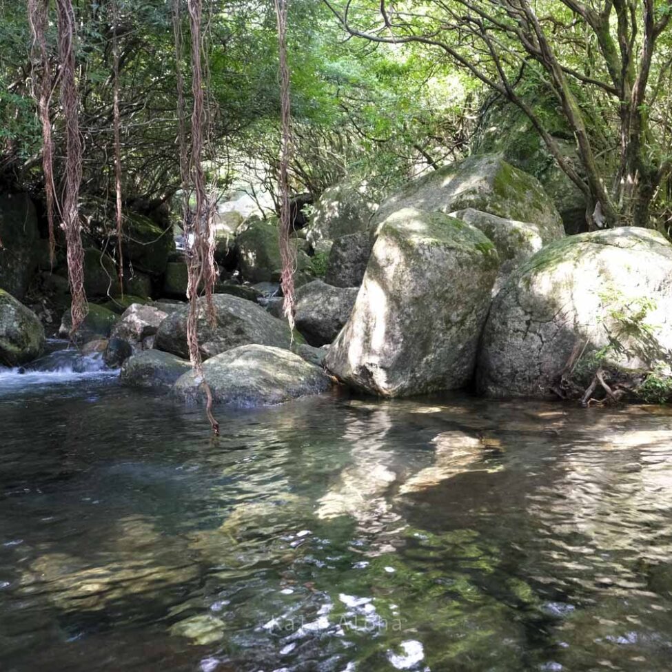 尾之間自然散策路